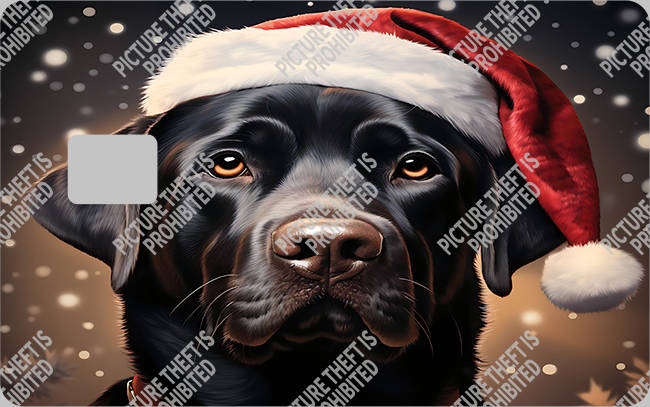 Bank  Card Sticker-BC-2606